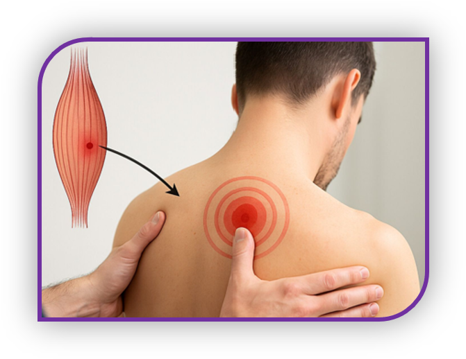 Ostéothérapie Tissulaire chez Michelle De Greef à Saint Raphaël